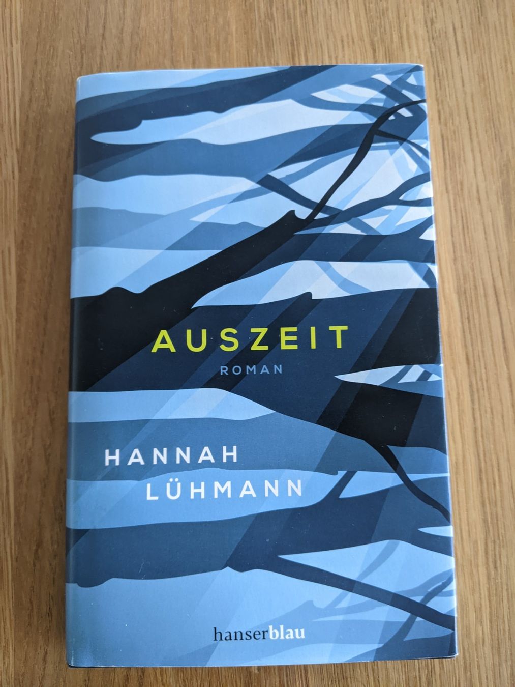 Libri: Auszeit - Hannah Lühmann – Usato da Bern venduto da miruslav