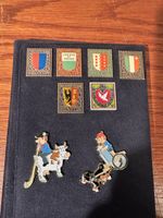 Rare collection de pins Suisse, albums inclus - Superbe!