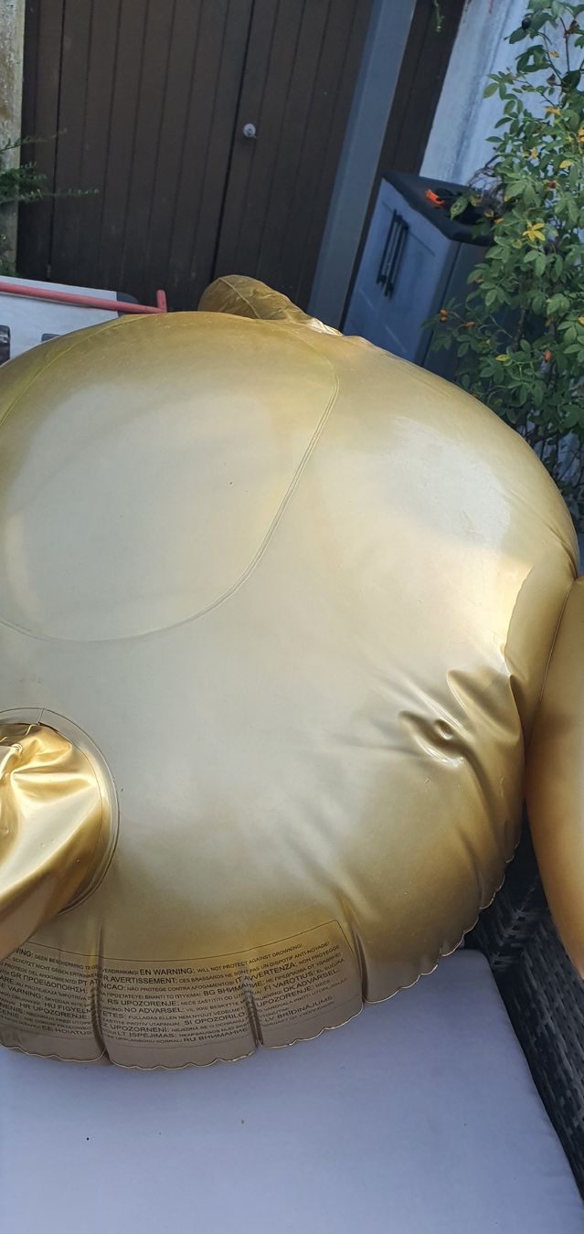 Salvagente: Aufblasbarer Flamingo gold  – Usato da Muri AG venduto da Jeromia 2