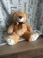 Teddy 