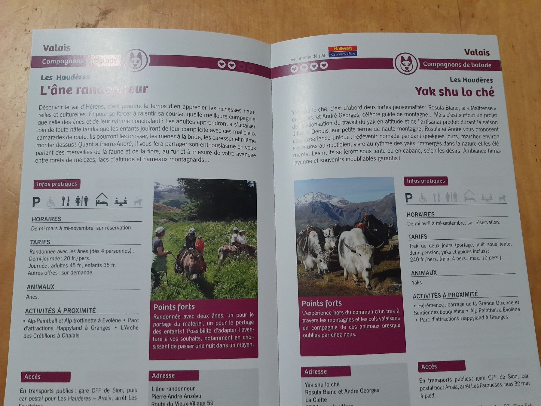 Bücher: Le guide des places à Z'animaux – Gebraucht aus Grolley von Montana78 3