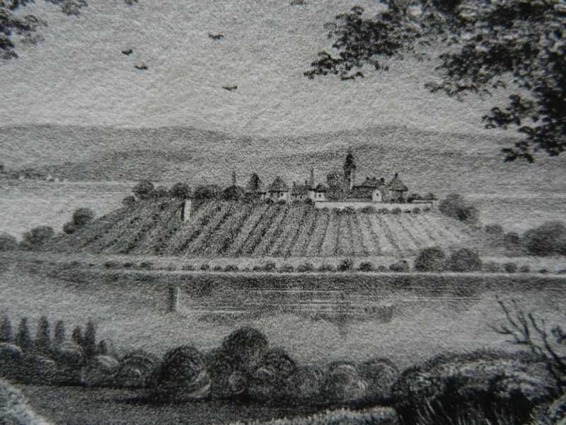 Incisioni: Insel Mainau Bodensee selten – Usato da Risch venduto da Rischli15 7
