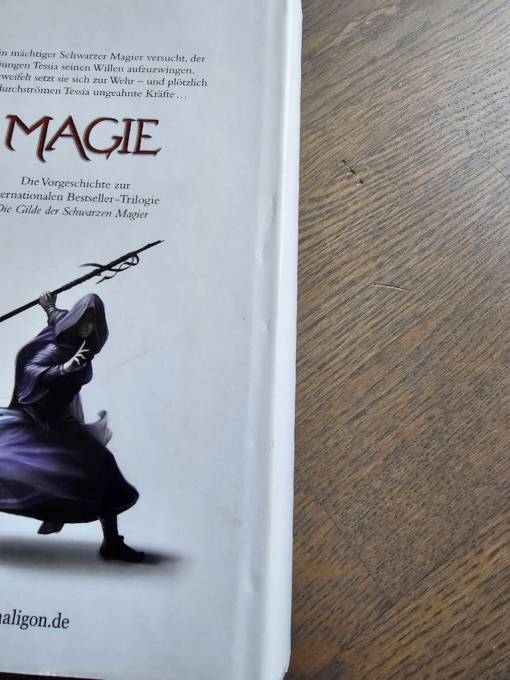 Libri: Magie - Trudi Canavan – Usato da Hinterforst venduto da impatiently 6
