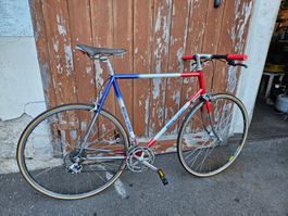 Rennvelo Wernli Sport blau rot weiss