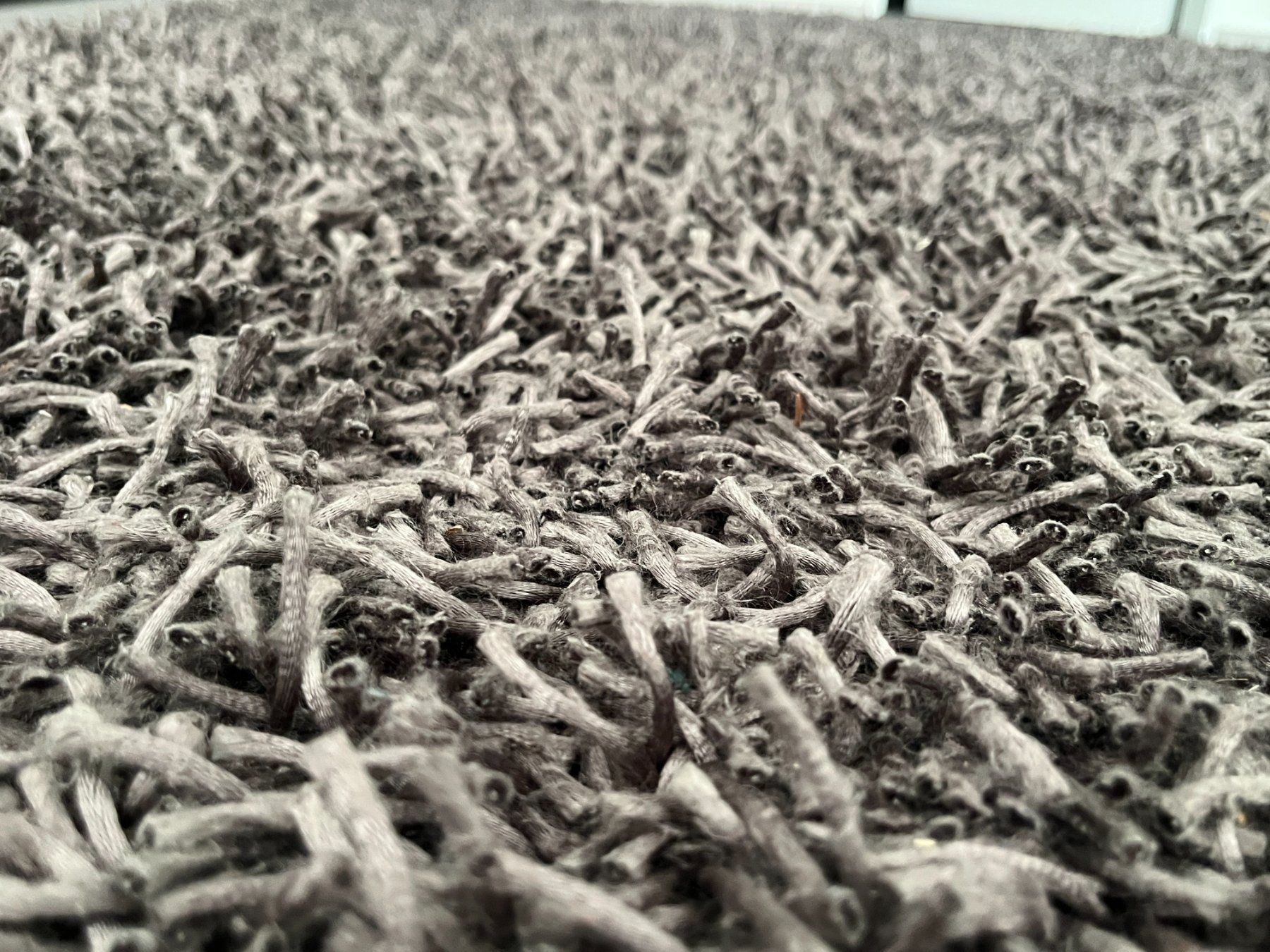 Teppiche: Hochfloorteppich – Gebraucht aus Aarau von Turbo555 1