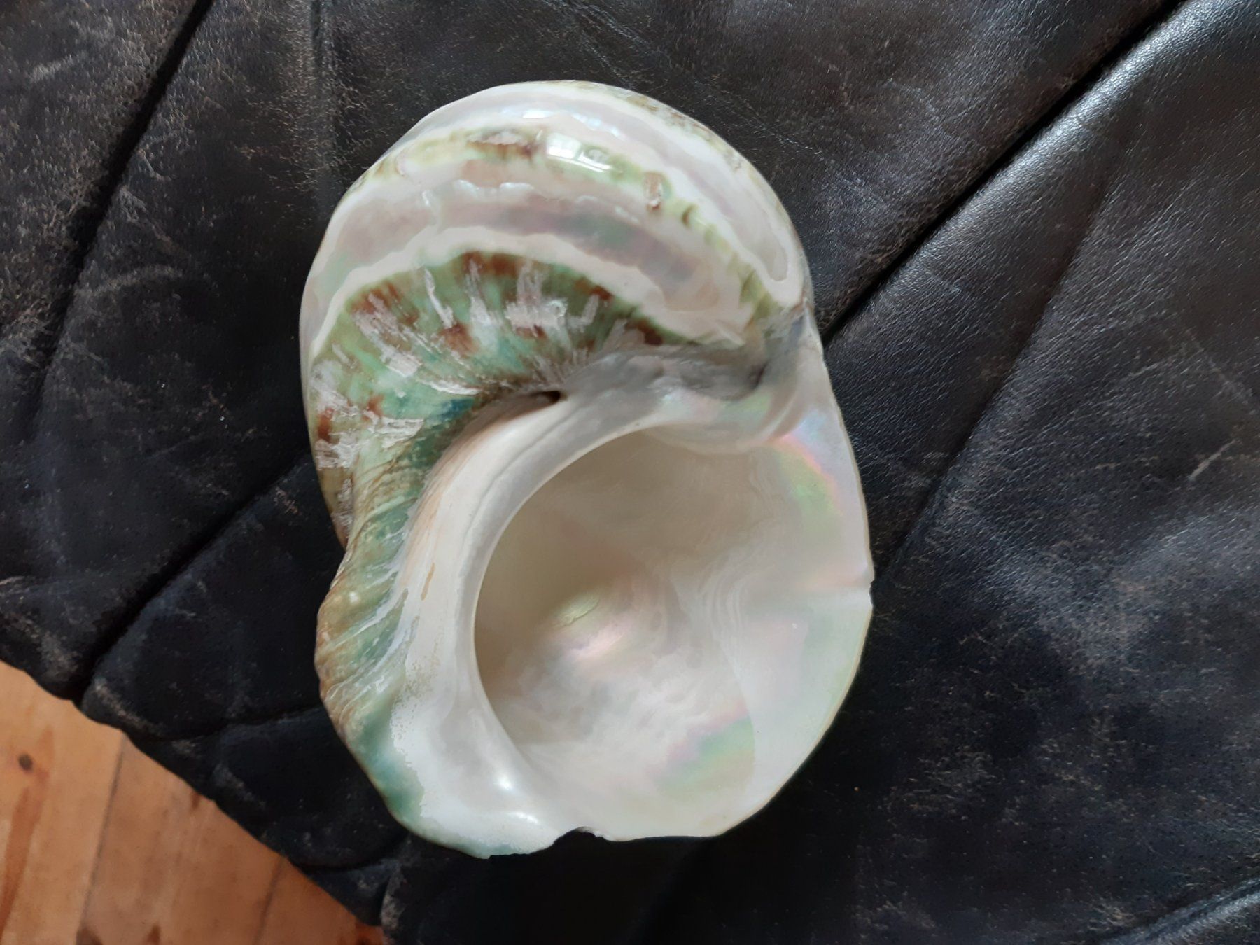 Altre raccolte & rarità: Spezielle Schnecke – Usato da Flawil venduto da Uncristalized 3