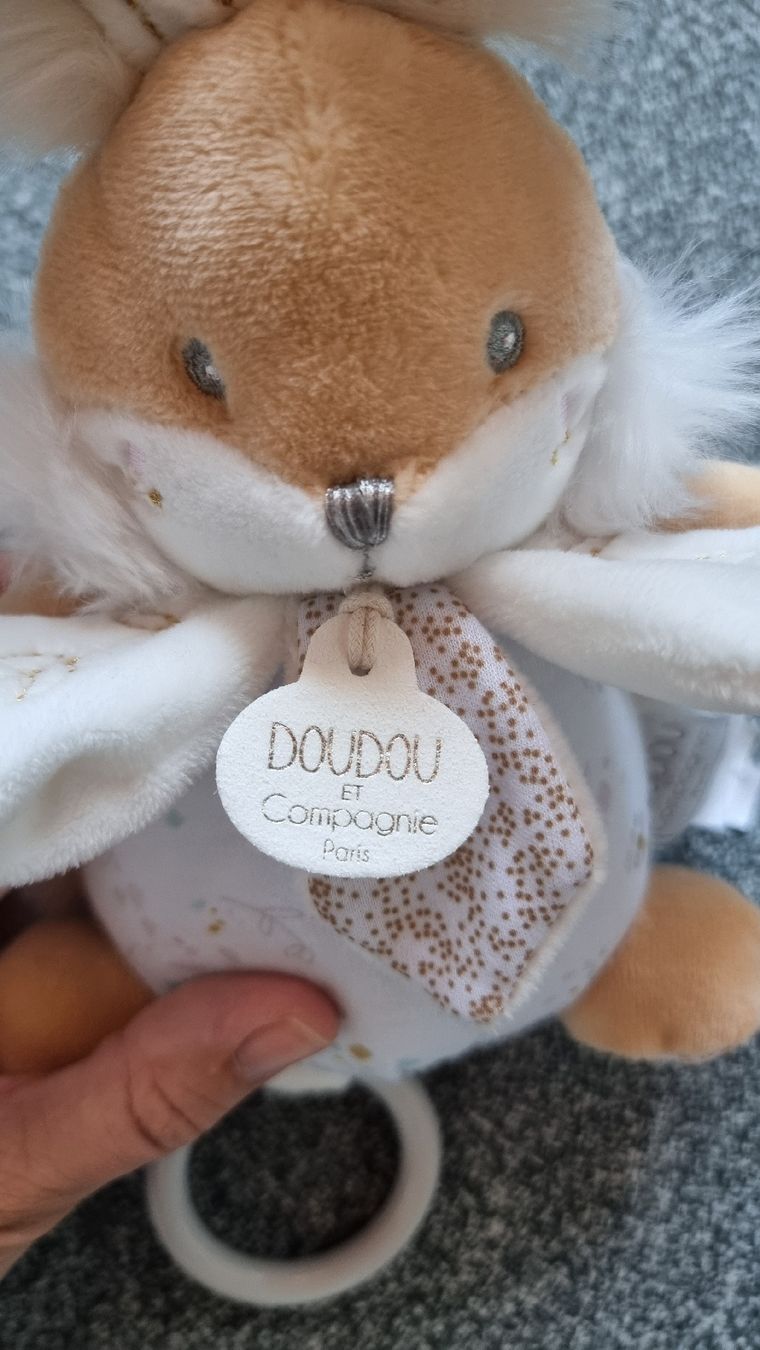 Giocattoli: Boite à musique doudou et compagnie – Usato da Les Breuleux venduto da Mily1991 1