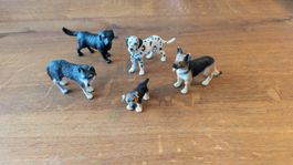 Schleichtiere 
