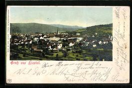 AK Liestal, Gesamtansicht von oben, 1900