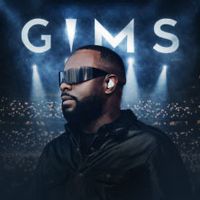 Ein Stehplatzticket für GIMS