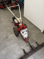 Motormäher Tielbürger t 55