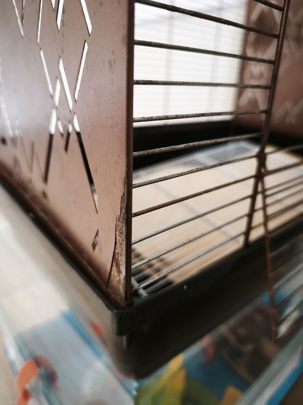Gabbie, trasporto & Sicurezza: Lot de 2 cages et articles pour hamster – Usato da St-Imier venduto da str_jp9w 3