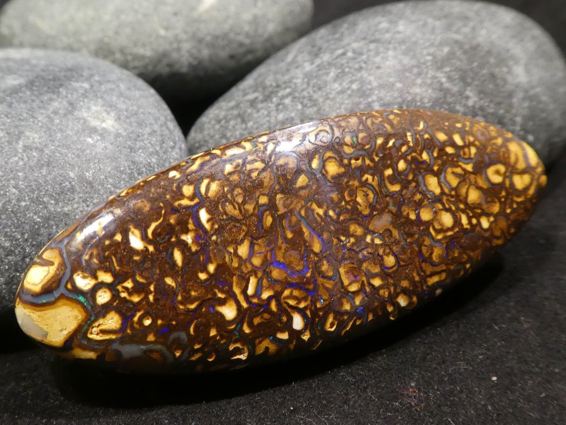 Pietre preziose: Yowah Opal Handschmeichler – Nuovo e nell'imballaggio originale da Niederbüren venduto da Raphael014 5