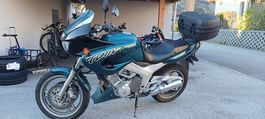 Yamaha TDM 850 EXP du jour