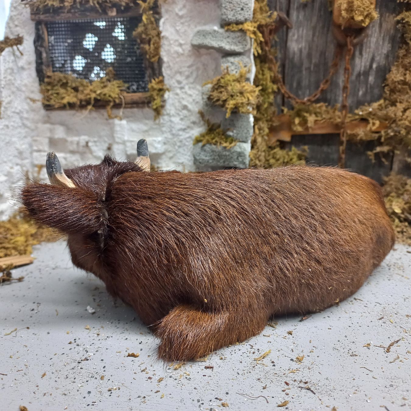 Figurines: Ochse für Schwarzenberger Krippenfiguren – D'occasion à Lachen SZ par jimmygoal13 1