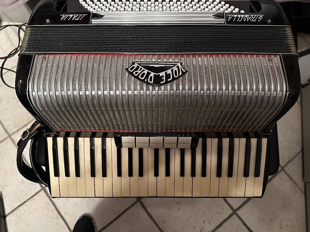 Dischi in vinile: Fisarmonica Stradella – Usato da Bissone venduto da bir_8ktq