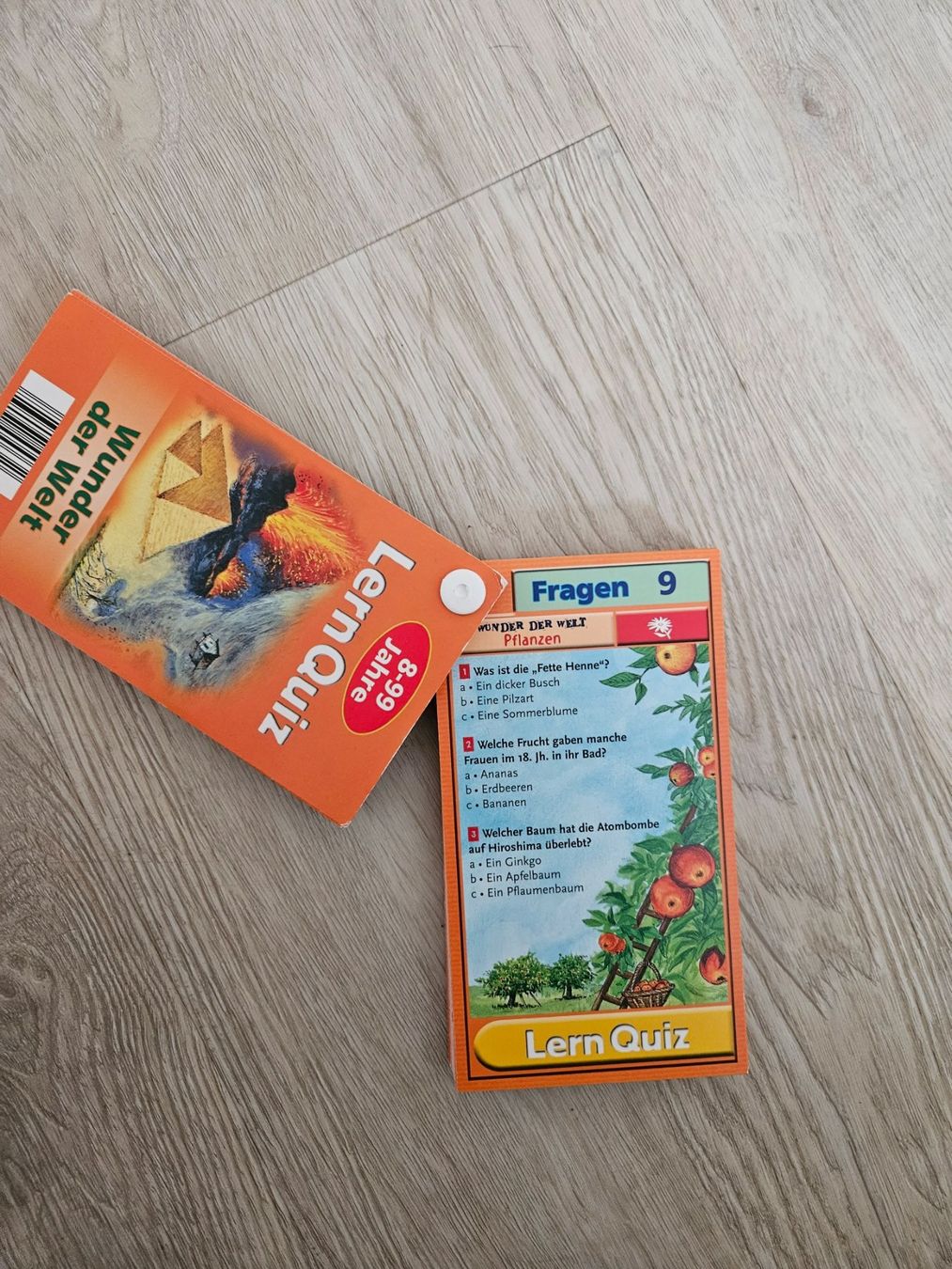 Giochi: Lern Quiz – Usato da Wattwil venduto da Belinda98 2