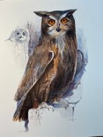 BÄR Willy (1909–1977) - Eule - Lithographie