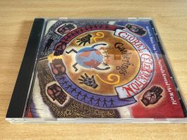 Authentic Music From Celebra – Gatherings - Joyous Festivals