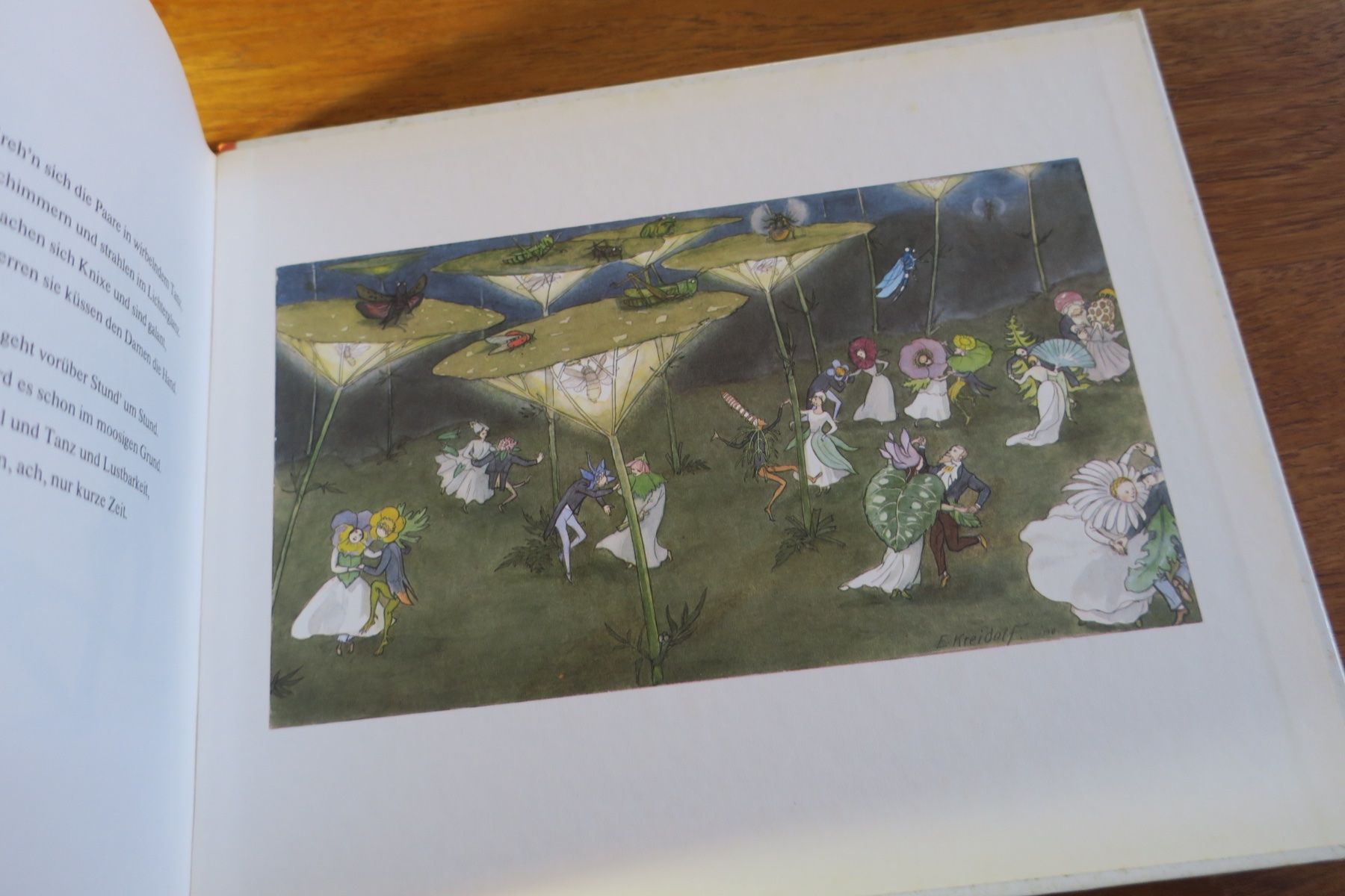 Libri: Ernst Kreidolf / BLUMENMÄRCHEN – Usato da Langenthal venduto da Riccardamax 4