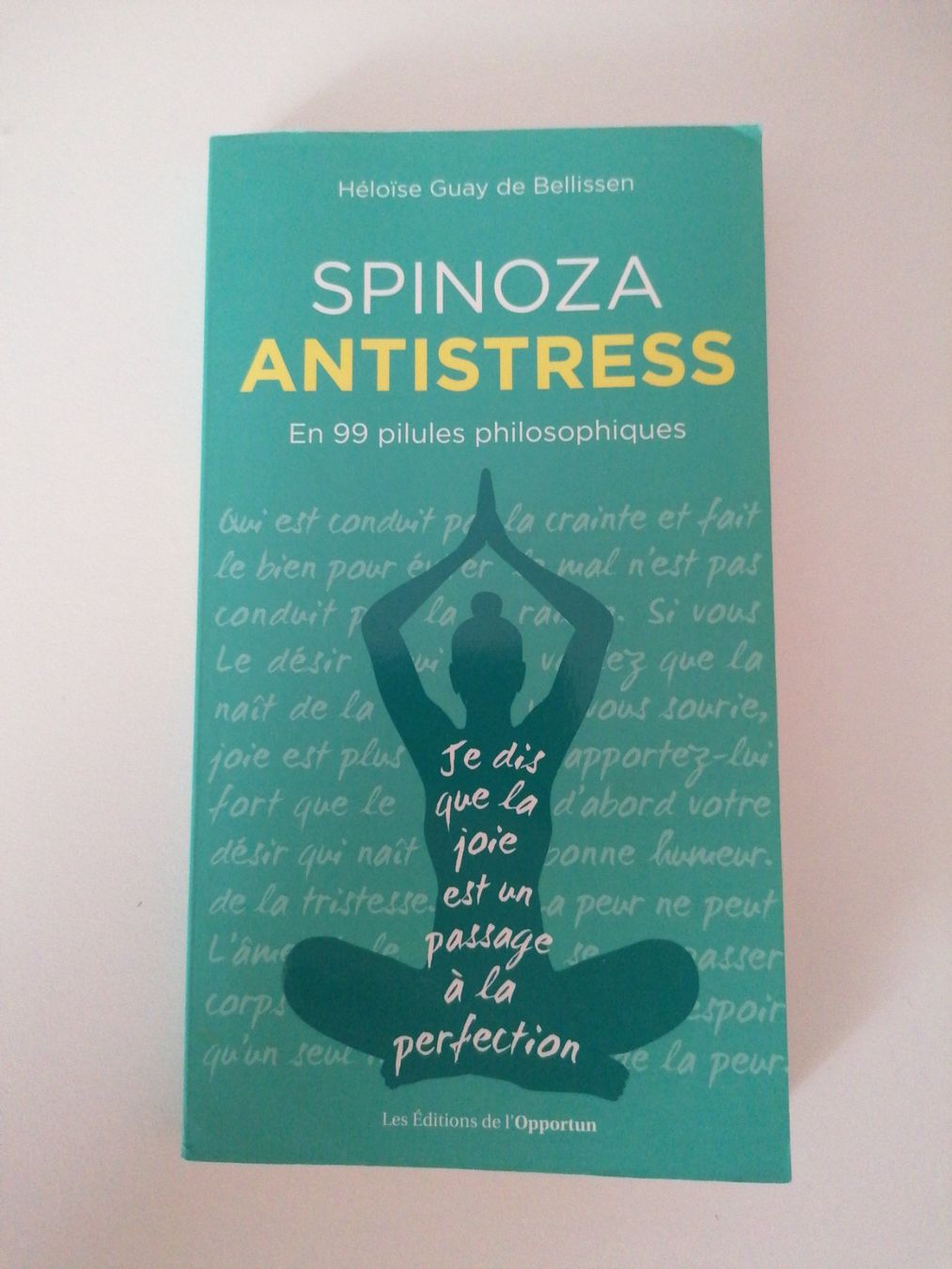 Libri: Spinoza antistress – Usato da Ecublens VD venduto da loi_dy6b