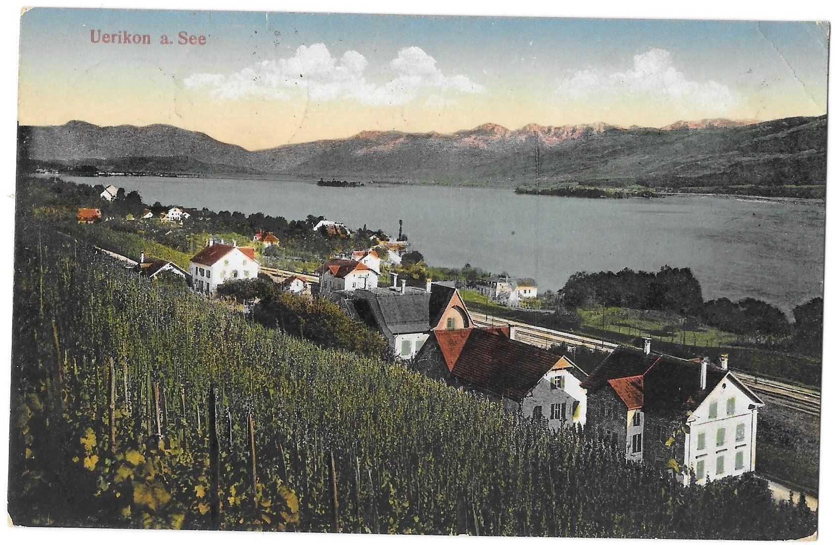 Cartoline postali: Uerikon Ansicht mit See – Usato da Olten venduto da clotaldi