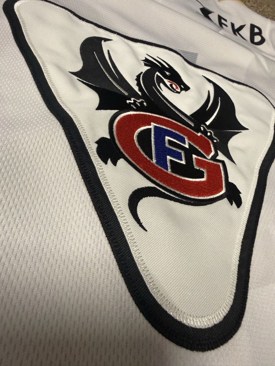 Leibchen & Hosen: Fribourg-Gottéron Topscorer Trikot – Gebraucht aus Wängi von Hami22 1