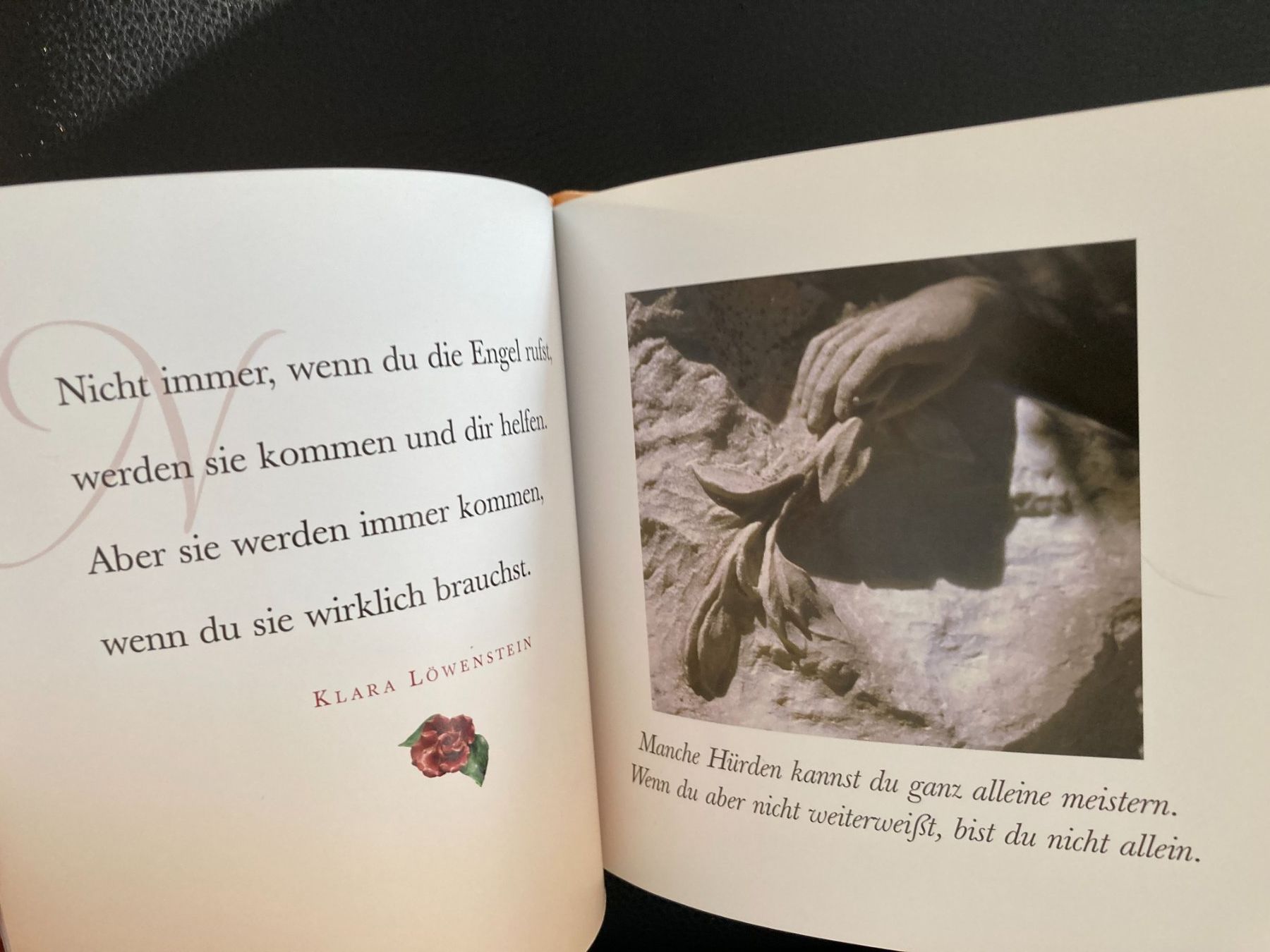 Libri: Engelsbotschaften des  Schutzes   gebundenes Buch – Usato da Subingen venduto da Etageren 2