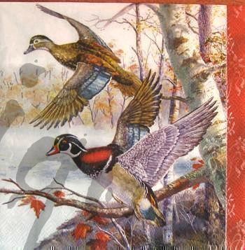Tovaglioli: Serviette enten (t181) 2Stk. – Nuovo (secondo la descrizione) da Schlatt TG venduto da kreativ-atelier