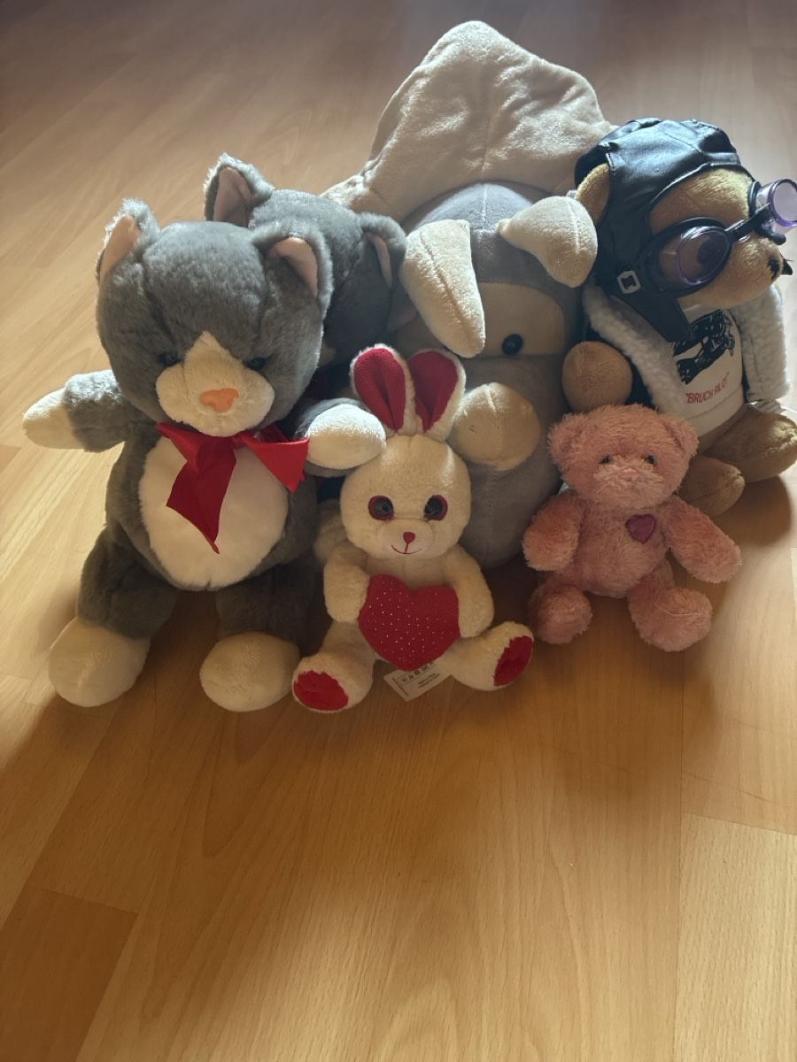 Giocattoli: Enorme lot de peluches  – Usato da Villars-sur-Glâne venduto da Raemy_and_Co