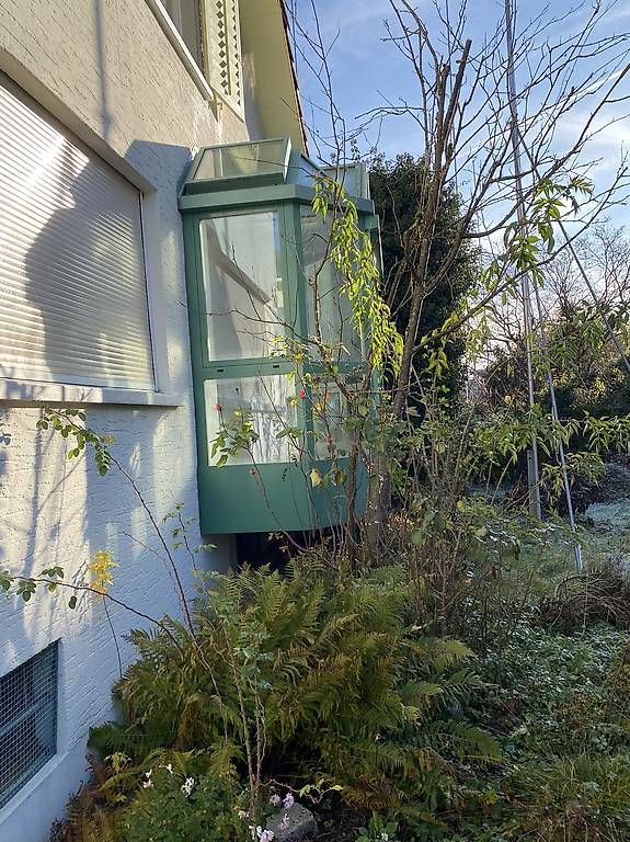 Casette da giardino & serre: Wintergarten  – Usato da Zürich venduto da odar66 1