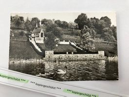 Küssnacht a. Rigi m.Kapelle alt ungel. AK