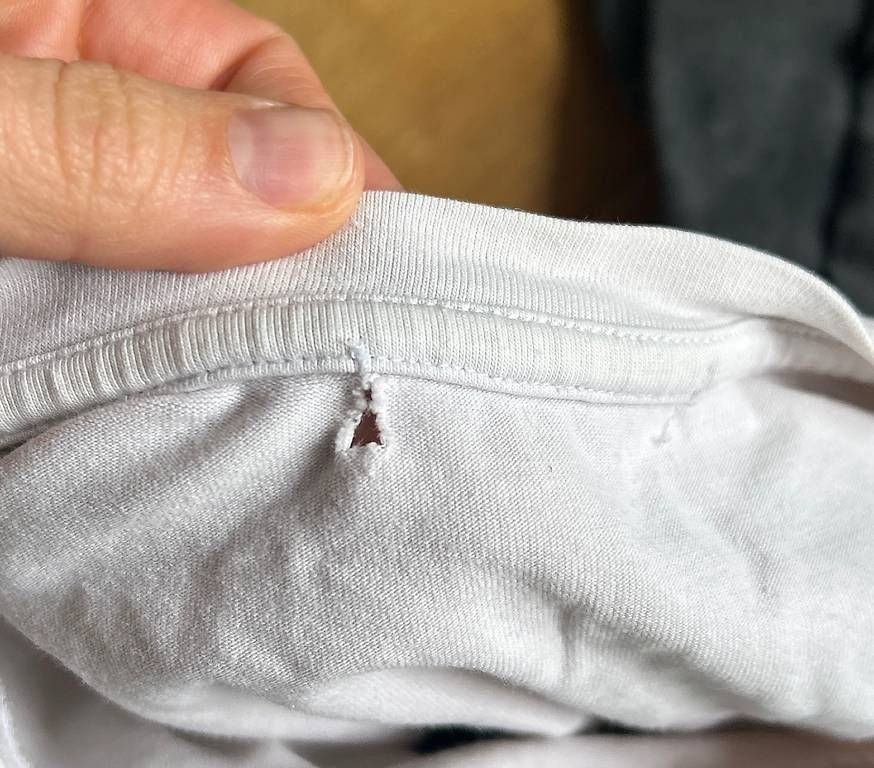 Maglioni & Felpe: Stillshirt langarm/pulli von Tajinebanane M – Usato da Bern venduto da sari.hason 4