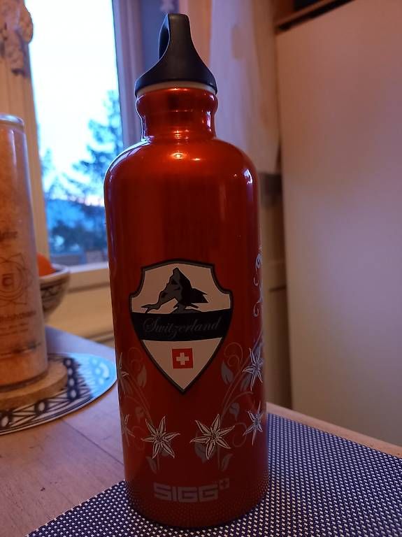 Sigg Borracce & Thermos: SIGG Trinkflasche – Usato da Au SG venduto da Dhana03