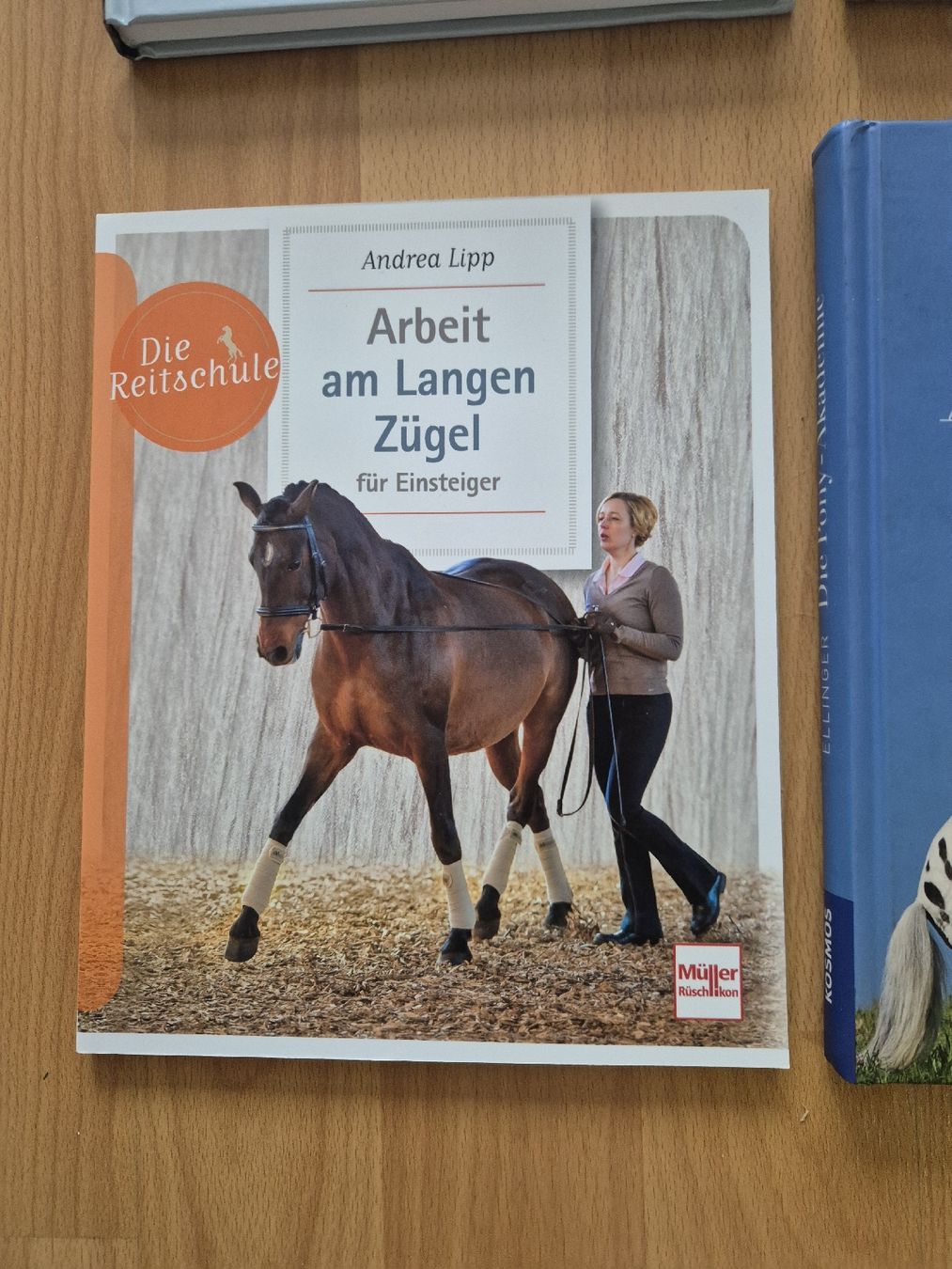 Briglie & Cavezze: Pferdefachbuch "Arbeit am langen Zügel" – Nuovo (secondo la descrizione) da Meggen venduto da Orrinka20