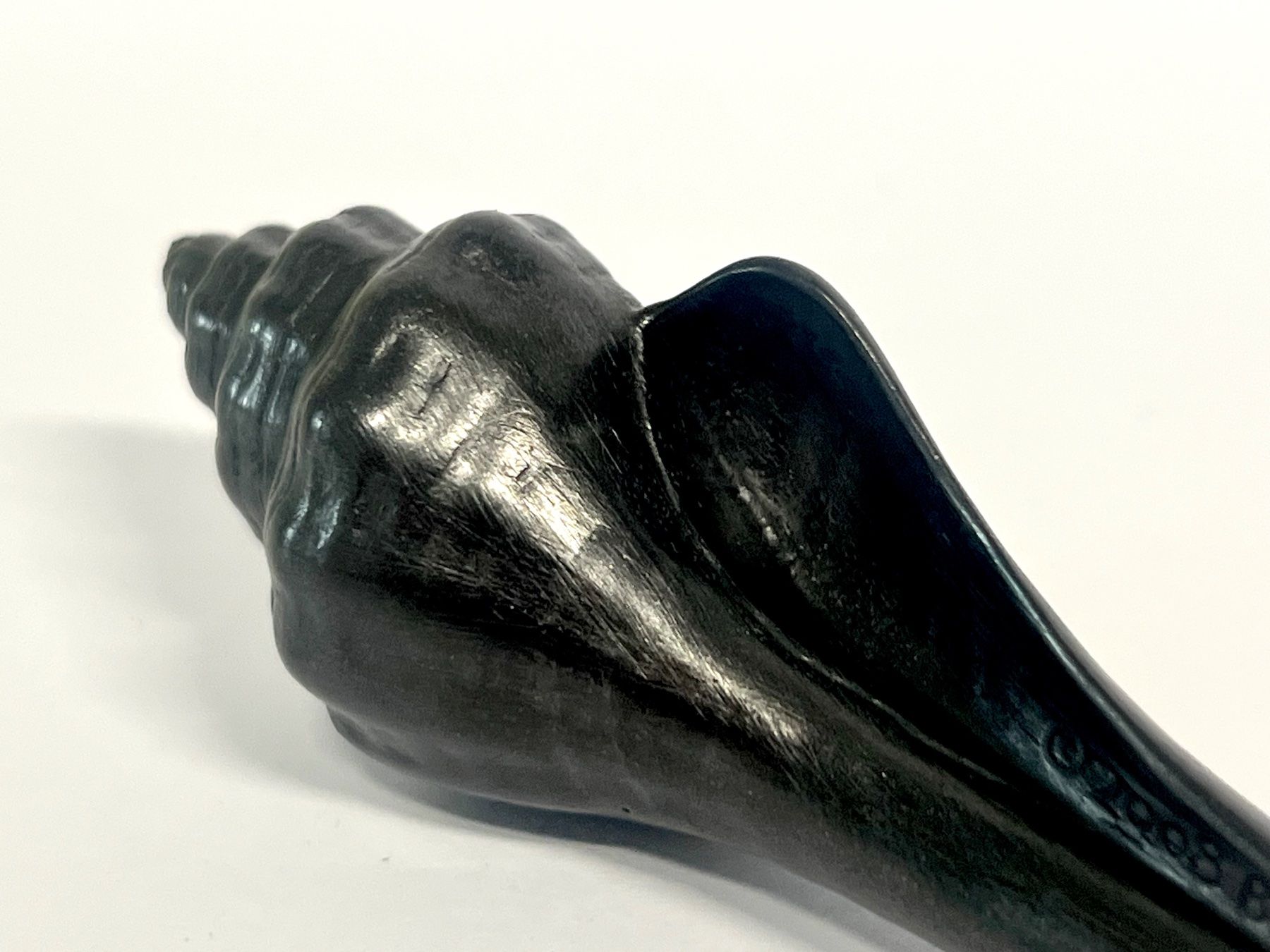 Fossili: BATLE STUDIO Small Shell Graphit-Schreibskulptur OVP – Usato da Zürich venduto da Arche_Brockenhaus 6