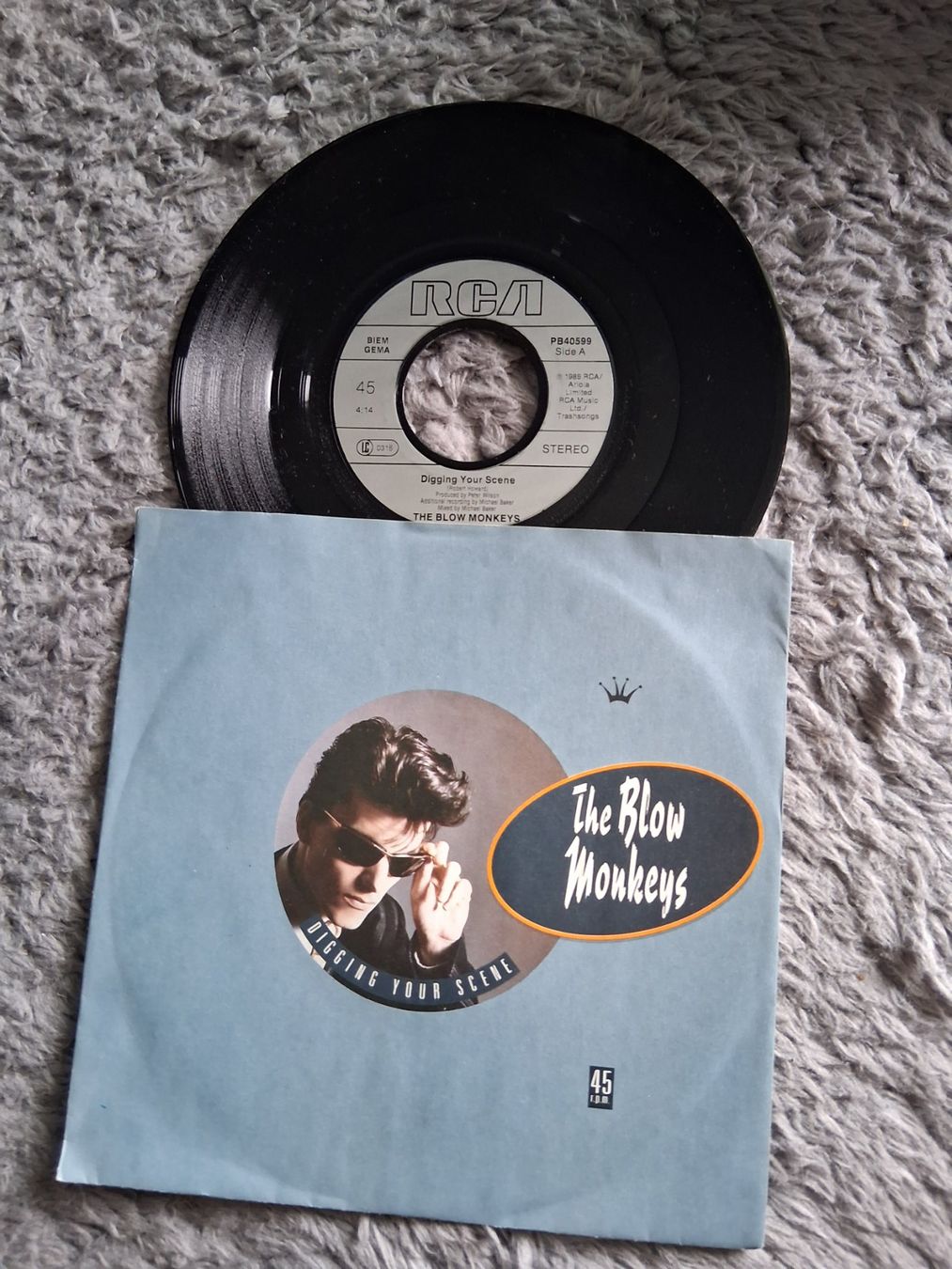 Dischi in vinile: THE BLOW MONKEYS     DIGGING YOUR SCENE     7NER SINGLE – Usato da Wetzikon ZH venduto da Ramones01