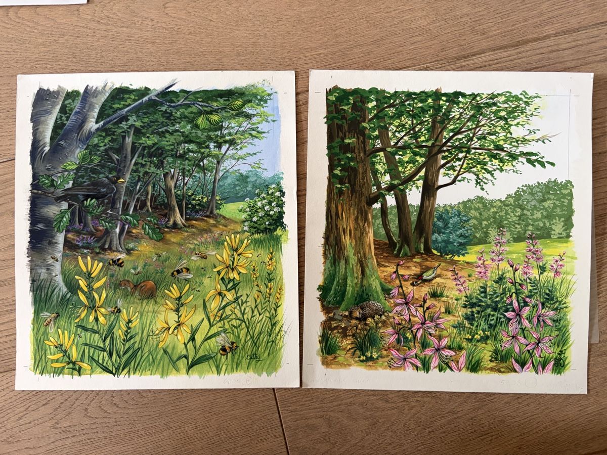 Dipinti: 2 Original Bilder Landschaft mit Blumen, handgemalt – Usato da Versoix venduto da chr_2rpz