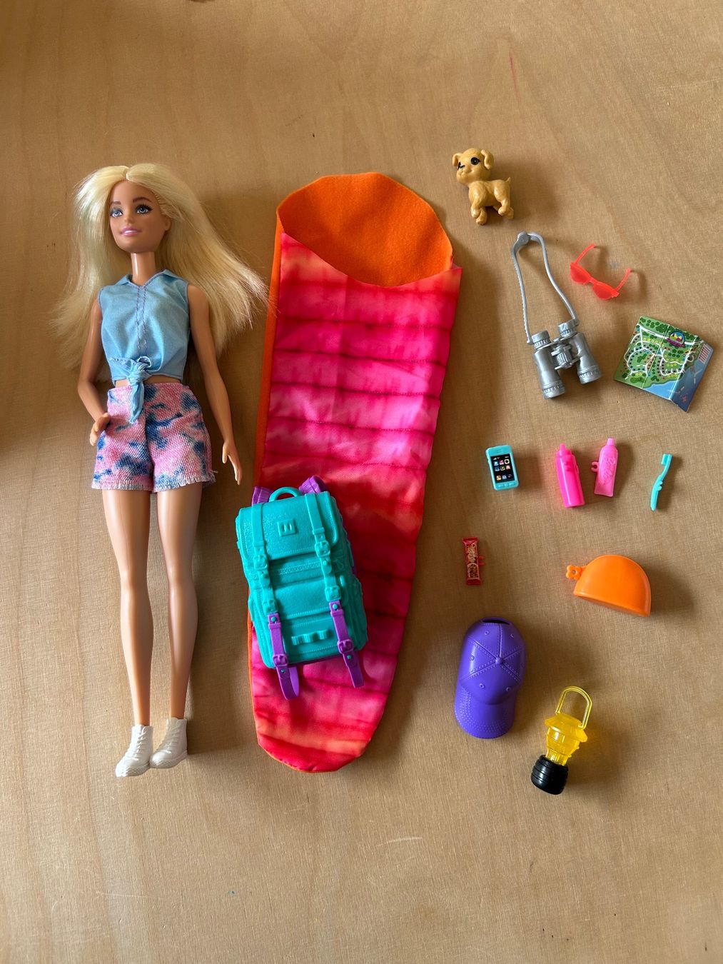 Bambole: Barbie camping – Usato da Delémont venduto da nounvince