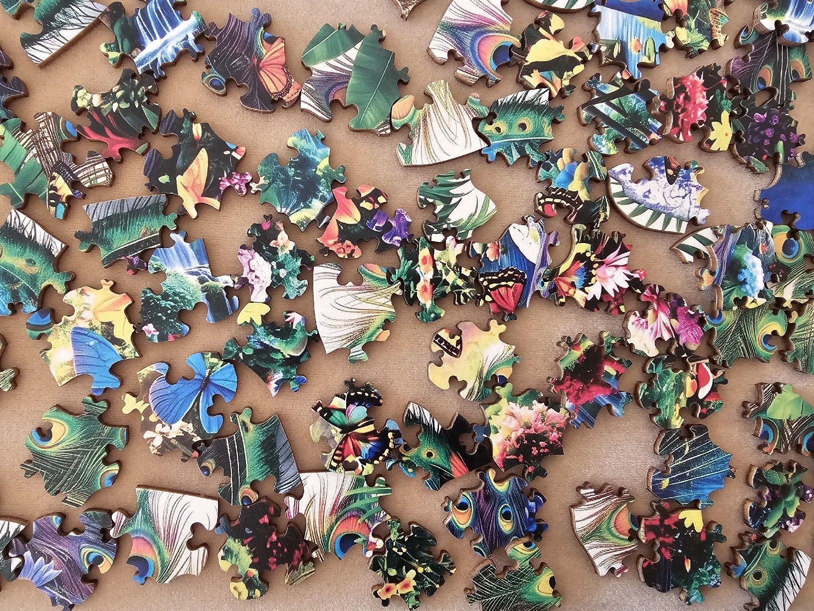 Puzzle: Schönes Holzpuzzle "Pfau"  Grösse A2 – Nuovo (secondo la descrizione) da Bütschwil venduto da Taranabo 3