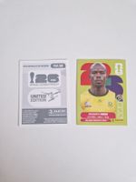 Panini Sticker RSA10