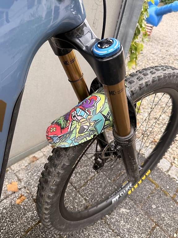 Santa Cruz Velos: SantaCruz Heckler 9 CC X0 RSV 2023, 29, Gr. M – Gebraucht aus Stäfa von FinTonic 3