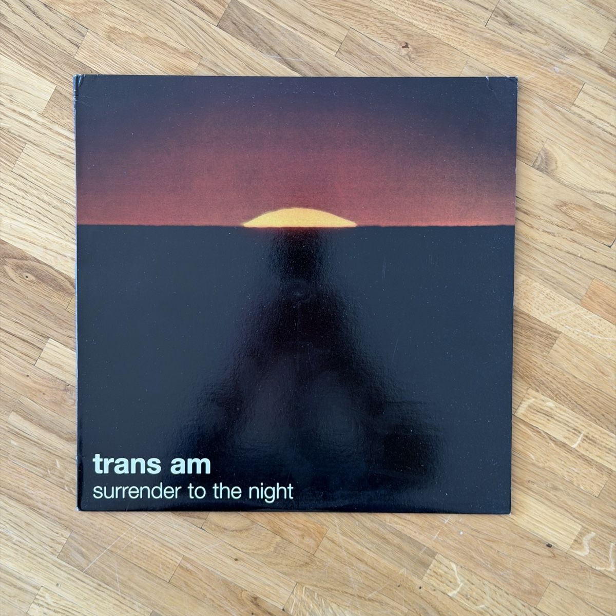 Dischi in vinile: Trans Am LP – Usato da Vevey venduto da Byronne