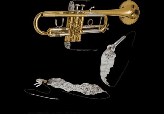 Strumenti musicali: SML PARIS - VSM TP500 - Trompete – Nuovo e nell'imballaggio originale da Grimisuat venduto da musicgear.ch 3