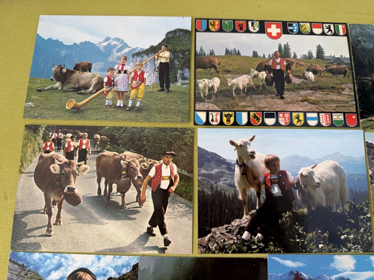 Cartoline postali: Konvolut Schweizer Ansichtskarten Berner Sennenhund Ziegen K – Nuovo (secondo la descrizione) da Libingen venduto da Wisli 2