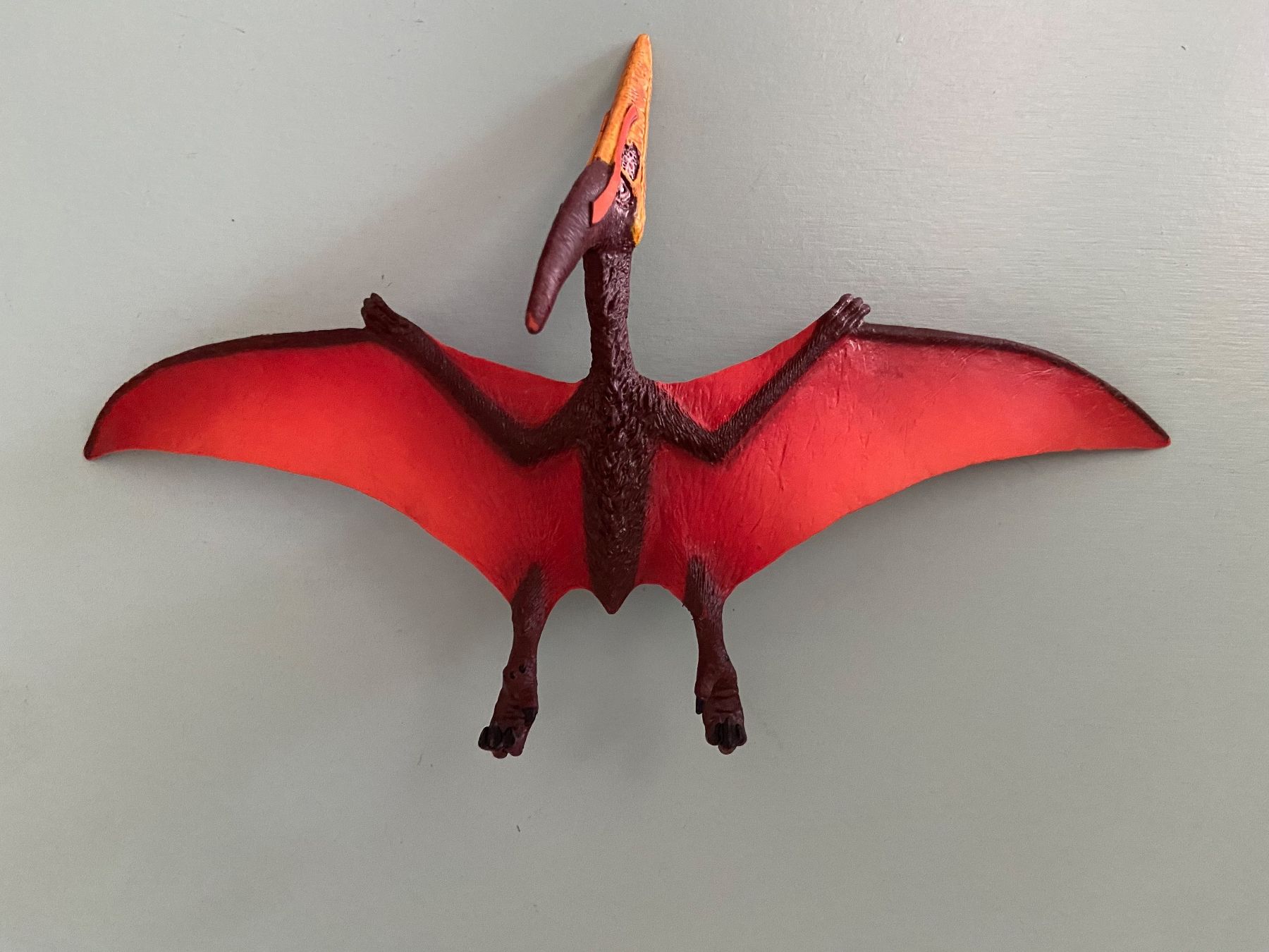 Schleich Giocattoli: SCHLEICH Figurine Ptéranodon – Nuovo (secondo la descrizione) da Genève venduto da kik_8jd6 3