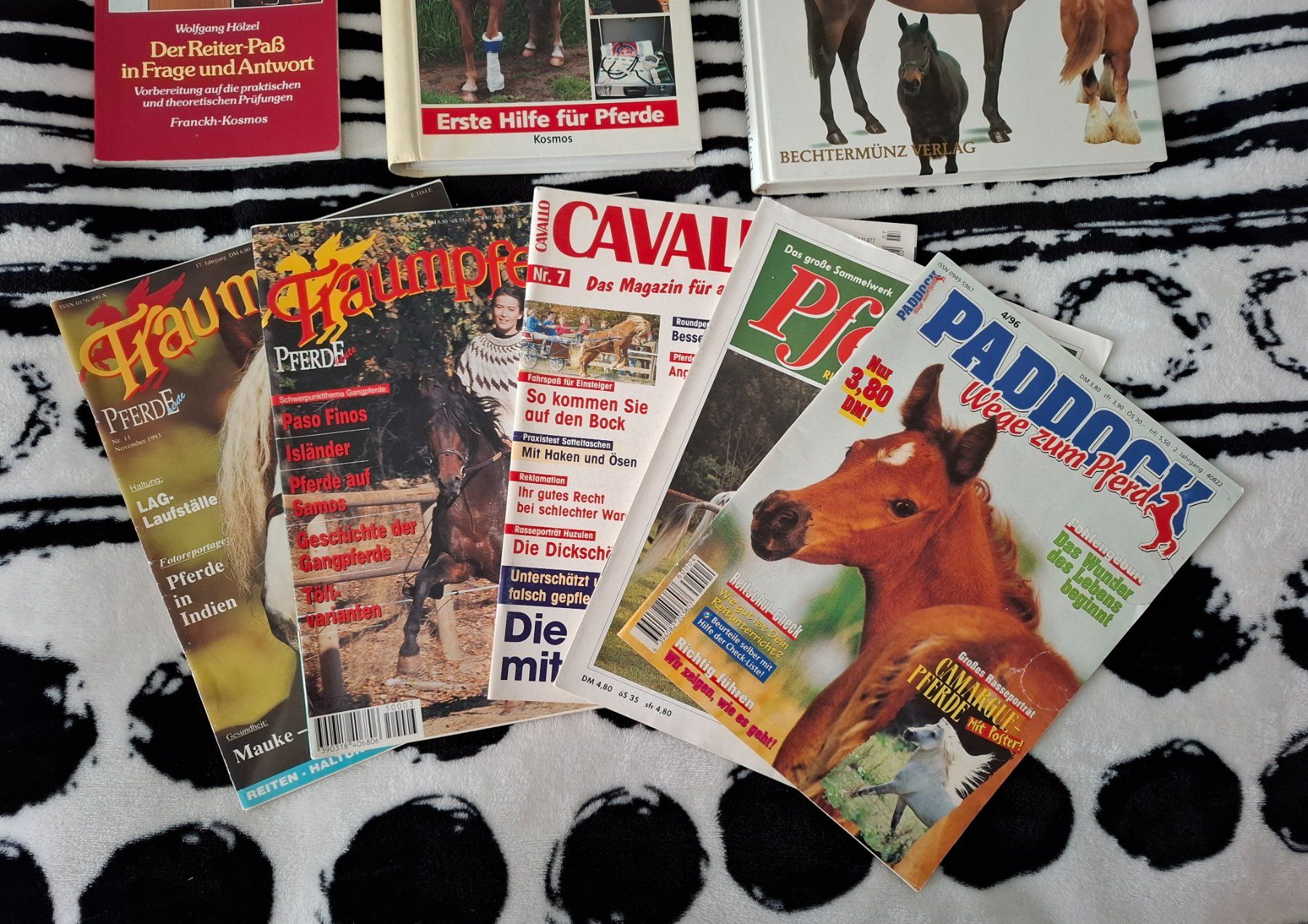 Libri: Pferdebücher und Zeitschriften – Usato da Oberurnen venduto da rotty80 1