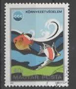 Vietnam : bunte Fische   (1