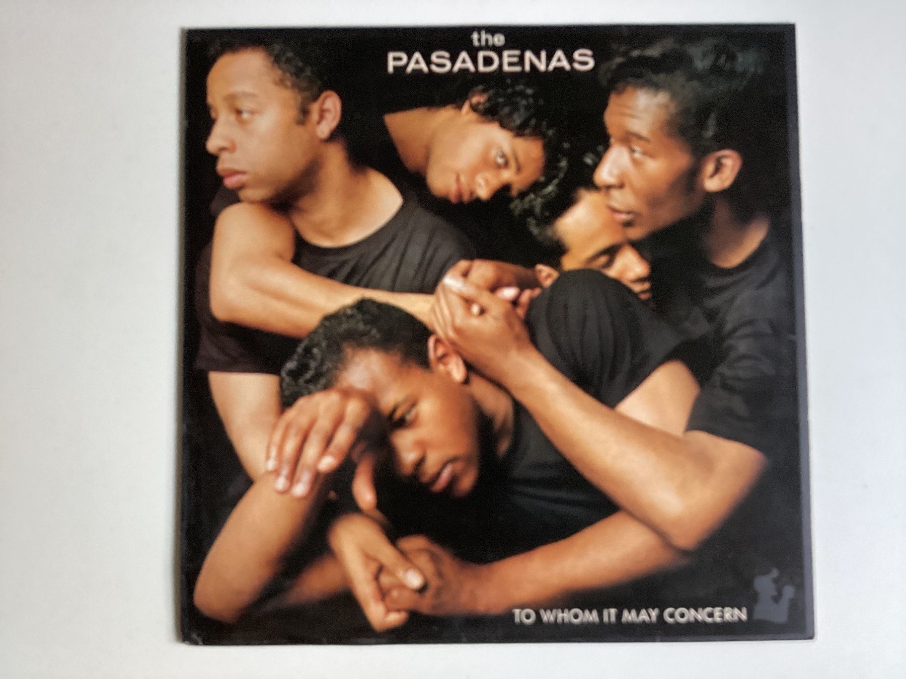 Dischi in vinile: Pasadenas LP - To Whom It May Concern – Usato da Gutenswil venduto da Hamzian