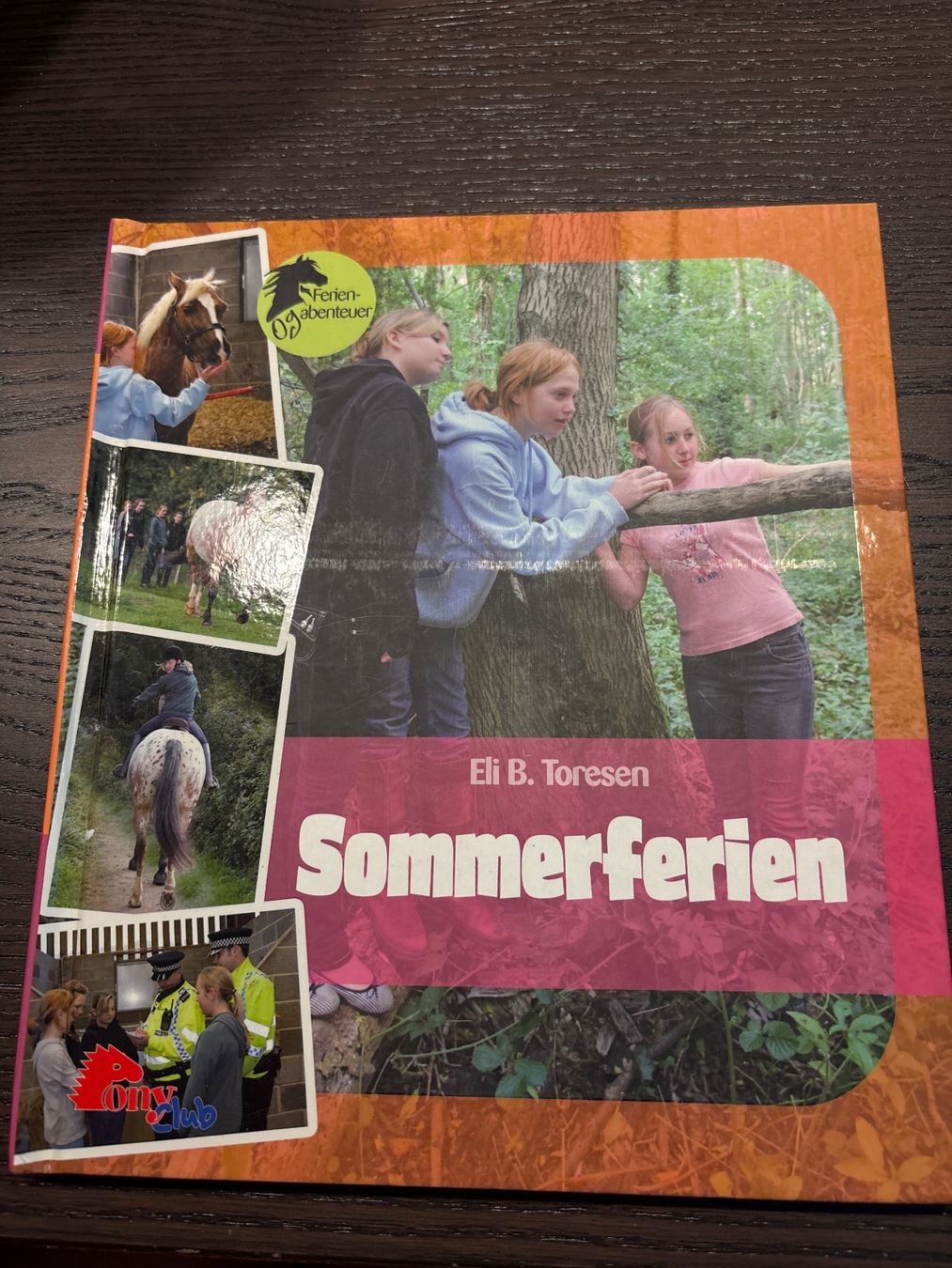 Livres: Diverse Pferdebücher – Neuf (Voir description) à Wald ZH par evelyne.street 2